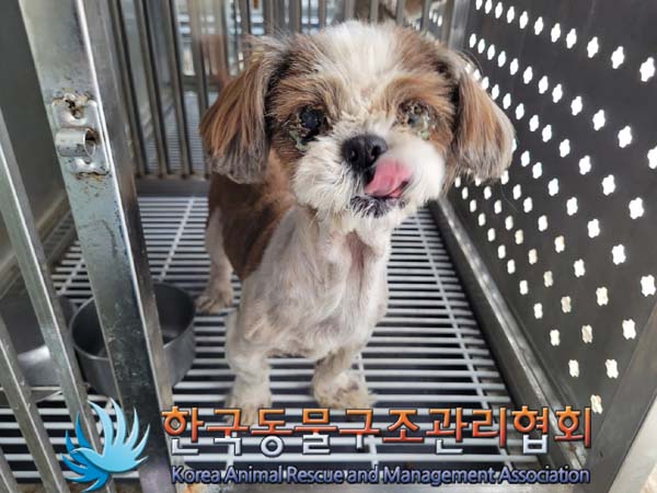 한국동물구조관리협회_441409202400448